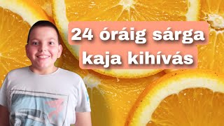 💥24 ÓRÁIG CSAK SÁRGA KAJÁKAT ETTEM|💥🍋🧀