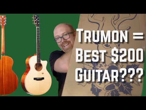 Trumon Acoustic Cutaway Guitar Demo Review Youtube