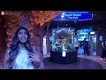 *new* national aquarium abu dhabi 🤩 full tour in only 9 minutes 😱