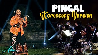 Download Lagu PINGAL Ngatmombilung II Keroncong Version Cover... MP3 Gratis