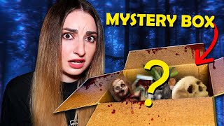 OTEVÍRÁM STRAŠIDELNÝ MYSTERY BOX!