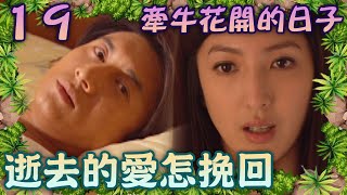 愛情負擔多年無法割捨 不甩曖昧律師直奔前任家【牽牛花開的日子】EP19 吳奇隆 楊謹華 竇智孔 梁又琳 李之勤 李佳豫 汪政緯 范鴻軒 檢場 沈孟生 高振鵬@ctvdrama_classic