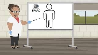 NIH Common Fund SPARC - Overview of the Reconstructing Vagal Anatomy (REVA) Initiative