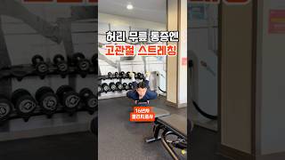 고관절 스트레칭으로 허리와 무릎 통증 없애기 👉자세한 내용은 여기 탭