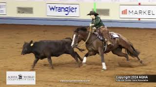 2024 AQHYA world champion working cow horse