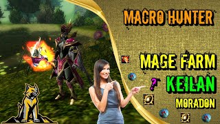 Knight Online Premiumsuz Sıfır Masraf ( KEILAN ) Farm 2020