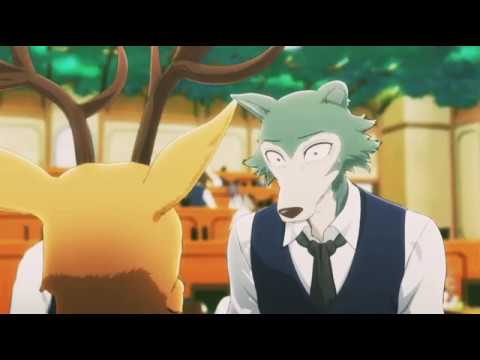 Amv Beastars 笙ｪlegoshi Edit笙ｪ Youtube