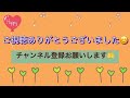 青森県青森市のアートホテルに泊まって来た １日目 ルームツアー編