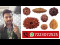 rudraksha price rudraksha knowledge certified natural rudraksha online vs offline shopping