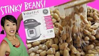 DIY Instant Pot Natto -- Homemade Fermented Stinky Soybeans