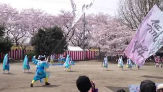 2016_0403_熊谷櫻花祭慶典表演2