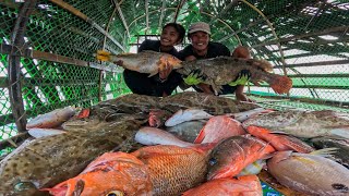 Ayos! Tiba-tiba Nanaman Ang Pinakamalaking Trap. Jackpot!