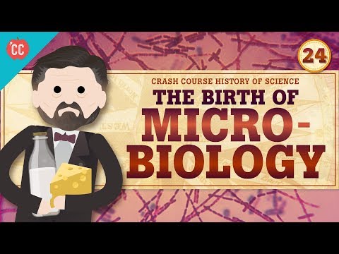 Microbiology: Intensive course in the history of science #24