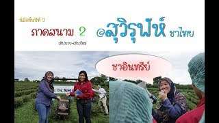 สถานที่ 2 สุวิรุฬห์ ชาไทย