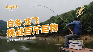 白鰷遊釣：白條龍飛相約盤百斤巨物，沒想到龍飛讓白條幫忙進貨，差點虧本了