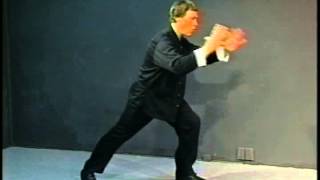 Yang Style Tai Chi Long Form - Exploring for Exercise and Fun - Part 2