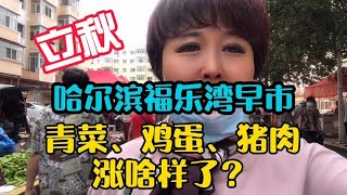 哈尔滨“立秋￼”大早市，鸡蛋青菜、掉价了吗？猪肉价钱怎么样？