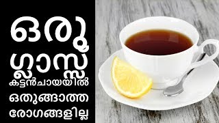 കട്ടൻ ചായ ആളു ഭയങ്കരൻ ആണ്||Health Tips Malayalam