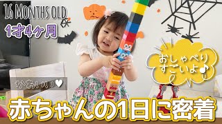 【赤ちゃんの1日】1歳4か月の成長具合が丸わかり！言葉がドンドン出る 昼間の断乳成功 しぐさが可愛い / A daily routine of my 16 months old baby