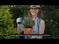 mastering container gardening in small spaces