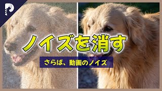 【2024年最新】動画ノイズ除去＆高画質化の方法！おすすめAIアプリを紹介！