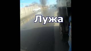 лужа