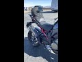 ducati multistrada v4 pikes peak ducati multistrada pikespeak shorts