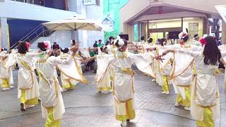 なかとさもん　YOSAKOI高松祭り2018南部3町ドーム1日目