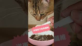 【毛萬MaoOne】排毛粉｜貓咪容易吐毛球？別吃傷身的化毛膏了！🐾 毛萬排毛粉😻天然健康的成分，幫助愛貓輕鬆排毛，健康快樂！#寵物 #排毛粉