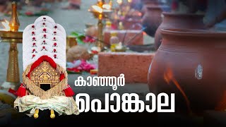 കാഞ്ഞൂർ പൊങ്കാല 2022 March 13