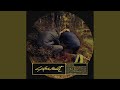 La Playa (Belabouche & Lakeshouse Remix)