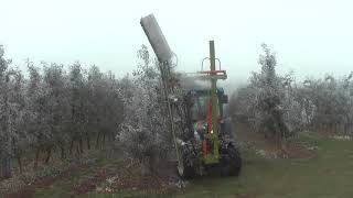 Pruning machine PNP