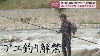 台風15号の影響が心配される中で興津川のアユ釣りが解禁　静岡市清水区