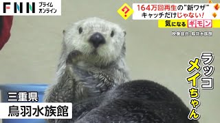 164万回再生の“新ワザ”　キャッチだけじゃない!