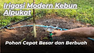 IRIGASI MODERN KEBUN ALPUKAT !!! MODERN IRRIGATION OF AVOCADO GARDENS