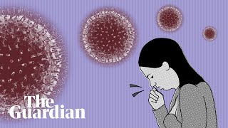 Coronavirus: how do I know if I'm infected and what happens next?