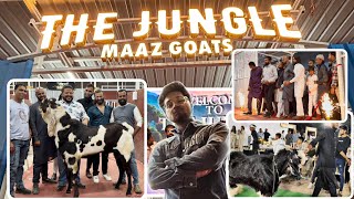 GREAT GRAND OPENING of PUNE’s BIGGEST FARM - THE JUNGLE by MAAZ GOATS