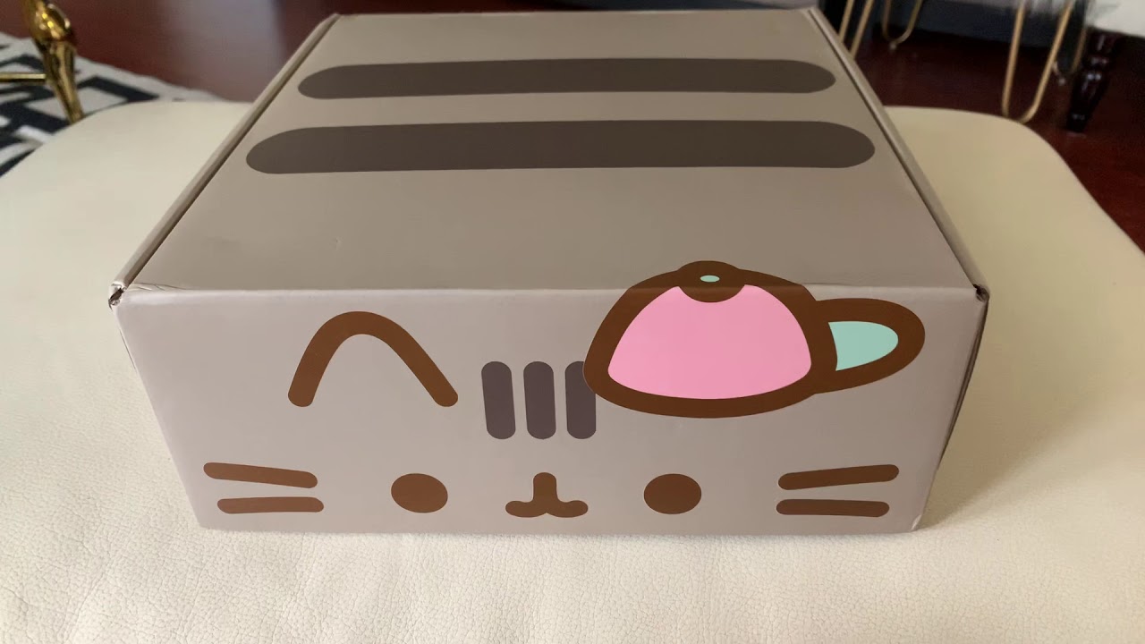 Pusheen Unboxing Youtube