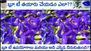 Blue Tea | Butterfly Pea Flower Tea | Healthy Herbal Tea | బ్లూ 'టీ' గురించి తెలుసా?