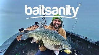 Lake Eildon - Winter Murray Cod on Swimbaits - Baitsanity