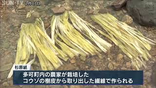 特産の高級和紙「杉原紙」の原料となるコウゾの川さらし作業　多可町で最盛期