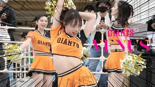 《プロ野球 チアリーダー》読売巨人軍 ジャイアンツ　VENUS ヴィーナス　3月31日開幕戦　全員集合　 2023  GIANTS cheerleader  ⑧ 《BraveTV》