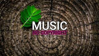 Satisfaction Guaranteed - Reggae | Bright (MNC - Music No Copyright)