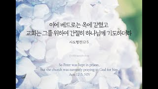 하크네시야 HaKnesiah Church 월요 새벽 예배 실시간 6.24.24 하나님의 기적이 나타나는 그 교회