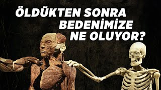 Öldükten Sonra Bedenimize Ne Oluyor?