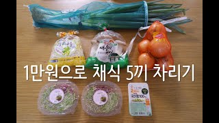 1만원으로 채식 요리 5끼 차리기|한그릇 채식 요리|가벼운 채식 한끼|Vegan recipe|비건 레시피