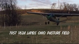 Cessna 182A Landing in a Cow Pasture!!!