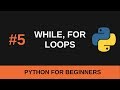 Python Beginner Tutorial #5 - Loops