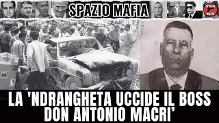 La 'Ndrangheta calabrese uccide il boss Don Antonio Macrì: Intervista inedita ad un testimone!