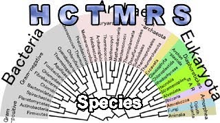 How Creationism Taught Me Real Science 87 Species